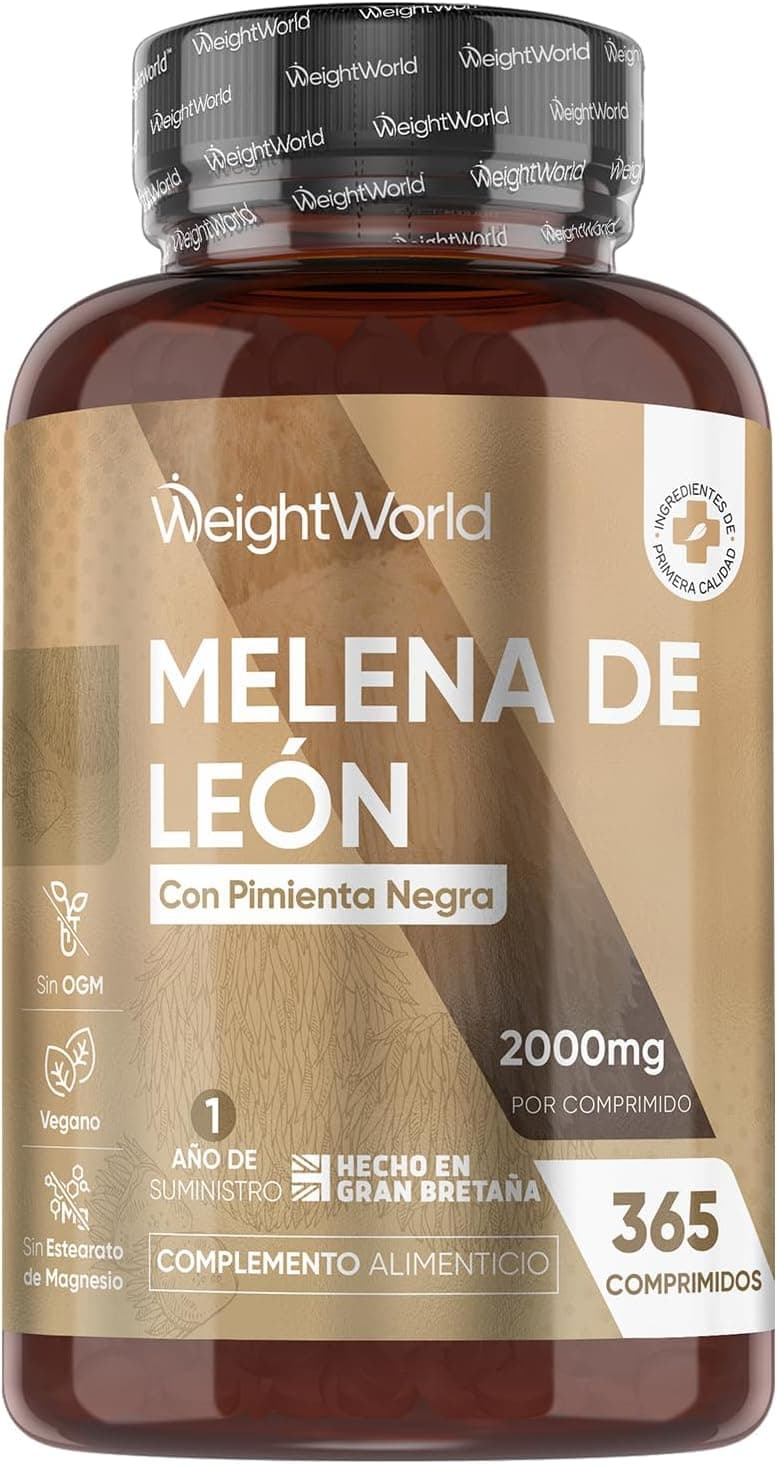 Mejores Hongos Adaptógenos 2026: Melena de León a Chaga